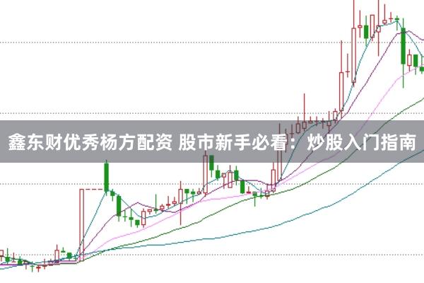 鑫东财优秀杨方配资 股市新手必看：炒股入门指南