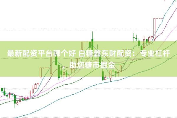最新配资平台哪个好 白糖鑫东财配资：专业杠杆，助您糖市掘金