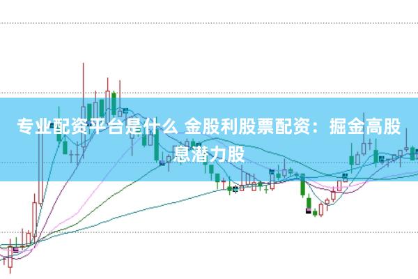 专业配资平台是什么 金股利股票配资：掘金高股息潜力股