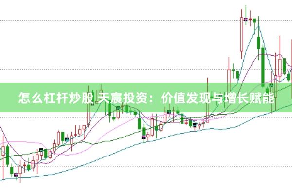 怎么杠杆炒股 天宸投资：价值发现与增长赋能
