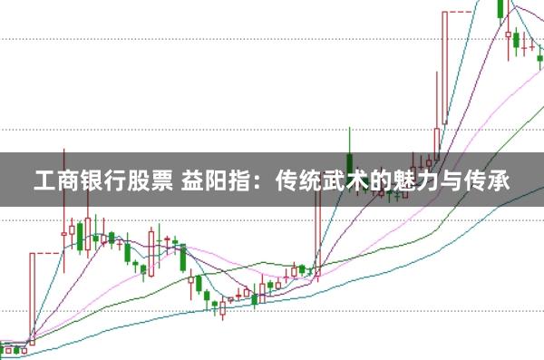 工商银行股票 益阳指：传统武术的魅力与传承