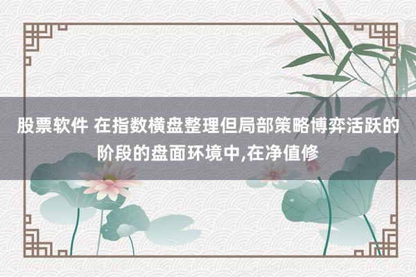 股票软件 在指数横盘整理但局部策略博弈活跃的阶段的盘面环境中,在净值修