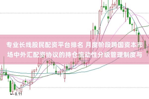 专业长线股民配资平台排名 月度阶段跨国资本市场中外汇配资协议的持仓流动性分级管理制度与