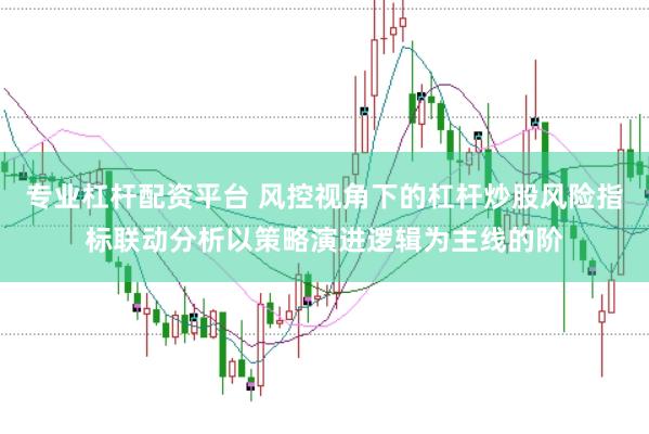 专业杠杆配资平台 风控视角下的杠杆炒股风险指标联动分析以策略演进逻辑为主线的阶