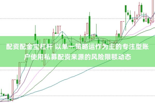 配资配金宝杠杆 以单一策略运作为主的专注型账户使用私募配资来源的风险限额动态