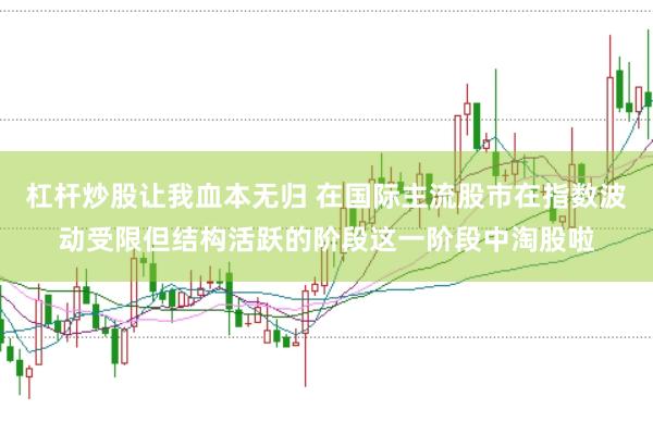 杠杆炒股让我血本无归 在国际主流股市在指数波动受限但结构活跃的阶段这一阶段中淘股啦