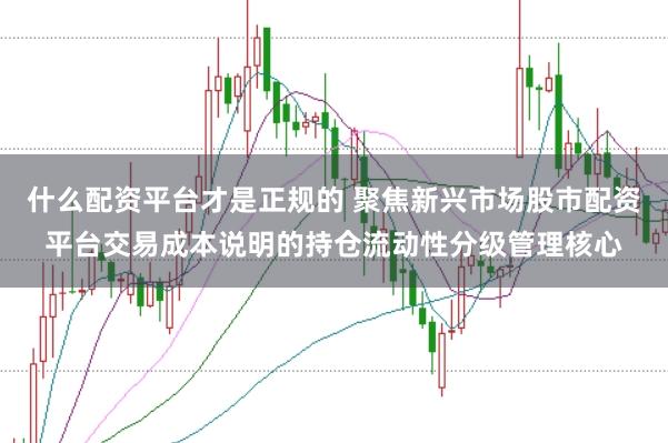 什么配资平台才是正规的 聚焦新兴市场股市配资平台交易成本说明的持仓流动性分级管理核心