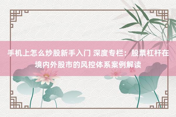 手机上怎么炒股新手入门 深度专栏：股票杠杆在境内外股市的风控体系案例解读