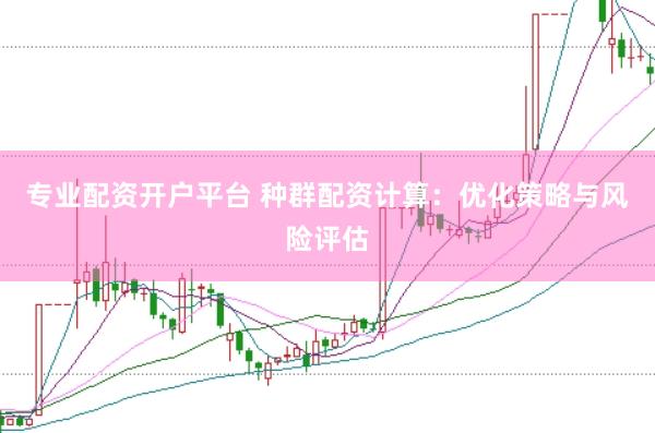 专业配资开户平台 种群配资计算：优化策略与风险评估