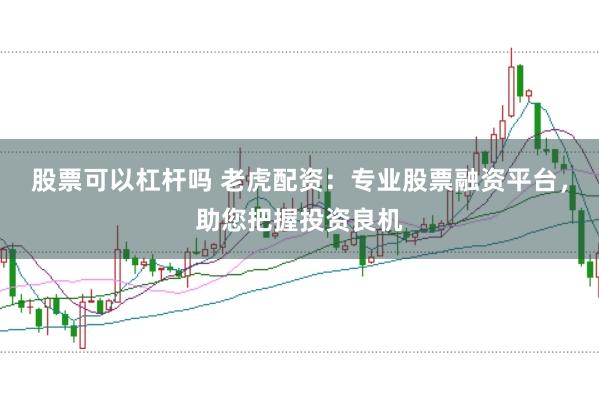 股票可以杠杆吗 老虎配资：专业股票融资平台，助您把握投资良机