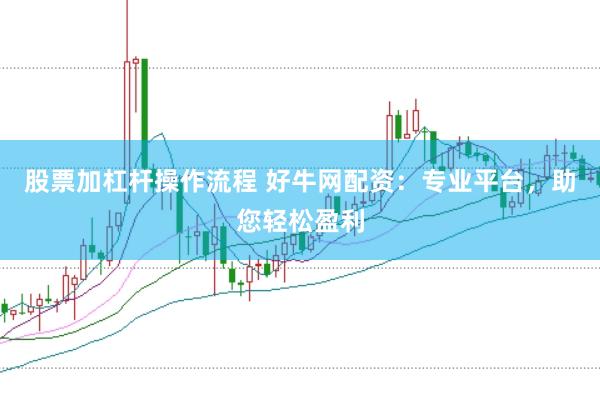 股票加杠杆操作流程 好牛网配资：专业平台，助您轻松盈利