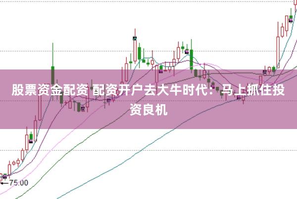 股票资金配资 配资开户去大牛时代：马上抓住投资良机
